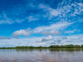 Amazon river landscape with rainforest.