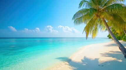 Fototapeta premium Tropical beach with palm trees and clear turquoise water during sunny midday hours in a serene coastal environment
