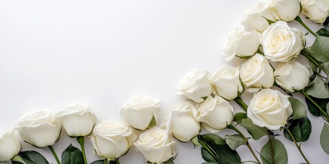 A visually pleasing display of white roses arranged artistically against a clean, white backdrop.