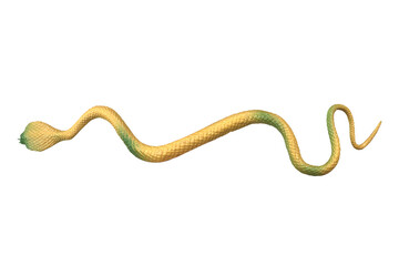 A toy snake on white background