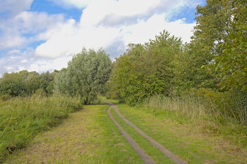 Hiking trail through a meadow with trees and shrubs in Bourgoyen nature reserve, Ghent, Flanders, Bbelgium