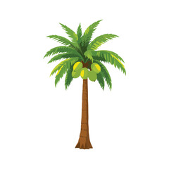 Obraz premium coconut tree vector 