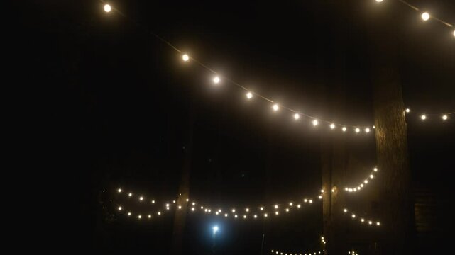 Warm string lights beautifully illuminate the night among tall trees in a serene forest setting, creating a magical outdoor ambiance