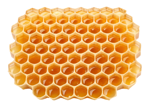 Close-up view of honeycomb structure with hexagonal pattern, intricate honeycomb design, Cut Out