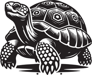 turtle vector illustration