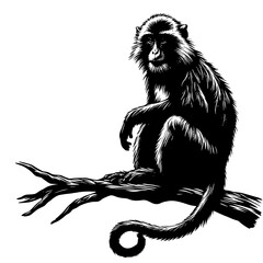 Fototapeta premium Detailed Black and White Monkey Illustration