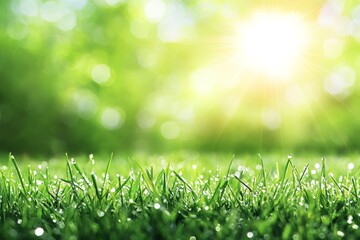 Obraz premium In the spring and summer, a large droplet of water sparkles on a leaf of grass against a vibrant green natural background at morning dew