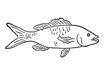 Fish, Retro Vector Illustration