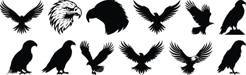 Eagle silhouettes set, bird pack of vector silhouette design, isolated background