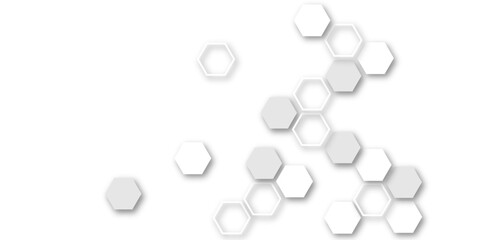 Abstract white and grey hexagon technology geometric pattern concept white background. Use for template, wallpaper, website vector illustration.
