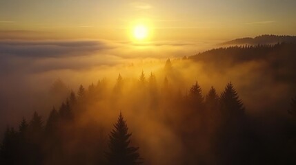 Obraz premium Golden Sunrise over Misty Mountain Forest