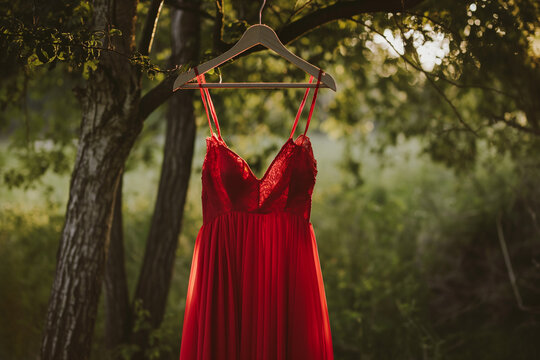 Red dress on a hanger, suspended from a tree branch. Red dress day concept