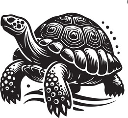 turtle vector illustration