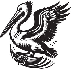 pelican vector illustration
