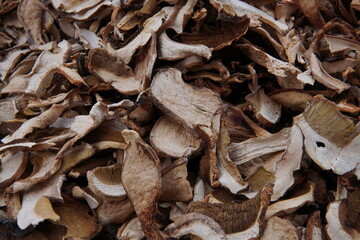 Close up of Boletus edulis - white mushrooms drying in slices, showing texture and natural earthy tones. Organic food, foraging, cooking.