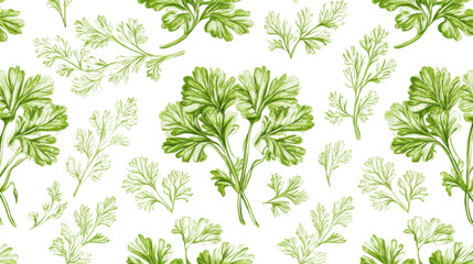 Culinary herb illustration kitchen botanical print indoor top-down view freshness concept