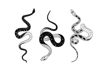 Silhouetted snake designs with intricate details and unique doodling styles in a vector format