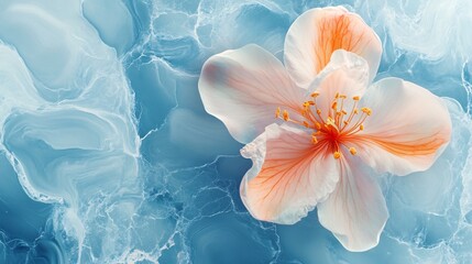 Elegant Marble Background with Delicate Flower Blossoms – Top-Down View