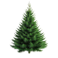 Festive green Christmas tree with dense branches against a bright white background, Green Christmas tree. white background