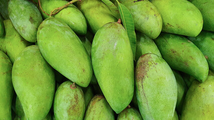 Green mangoes for sale in the fruit market.