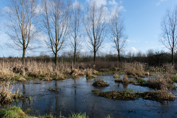 The river Colne over flooding in to a field near watford UK