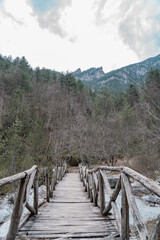 Nature on the mountain olympus in Greece.