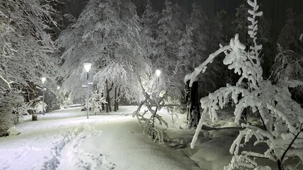 Winter landscape in the evening park, trees in the snow, lanterns are burning