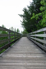 Wooden stairs in the park.