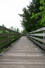 Wooden stairs in the park.