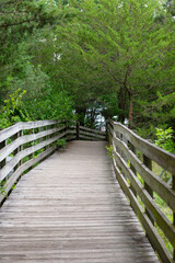 Wooden stairs in the park.