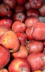 A vibrant and colorful display of fresh, crisp red apples organized neatly in a bustling market settings. Close-up