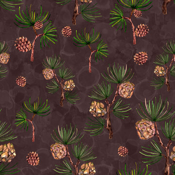Pine branches pattern. Hand drawn watercolor image on textured dark brown background.
