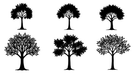 A collection of six unique black silhouette trees, showcasing various shapes and sizes, ideal for design and illustration purposes.