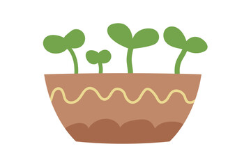 Seedling in a pot. Hand drawn plant