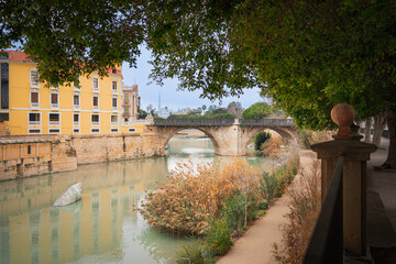 The Bridge Puente de los Peligros in Murcia and a sculpture of a fish in the segura river, Monument...