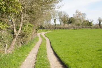Obraz premium Scenic view of a country road through farmland