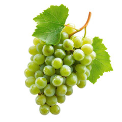 Fresh green grapes resting on a white background, showcasing their natural beauty and vibrant color, Green grape on white background