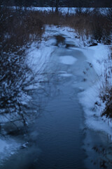 partially ice covered small forest river in evening. Sesava river, Latvia in wintertime