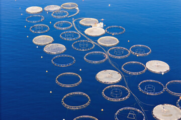 Offshore aquaculture farming, fish growing cages in calm sea water, Global aquaculture industry...