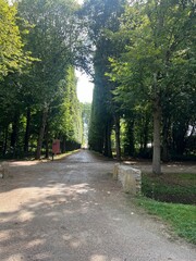 The image depicts a serene landscape featuring lush trees with a body of water in the background. The scene is enhanced by a blue sky filled with cumulus clouds, showcasing the beauty of nature outdoo