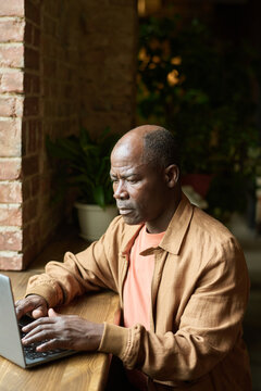 Concentrating Elderly Man Working on Laptop Indoors