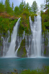 Obraz premium Burney Falls, CA. by Charity Ingham