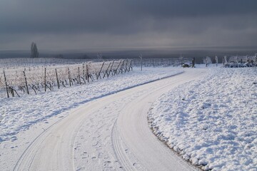 Obraz premium Winter road among snowy vineyards against the background of a dark dramatic sky.