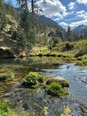 Mountain stream in National Park