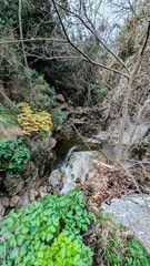 TOURRETTES-SUR-LOUP (Alpes-Maritimes)