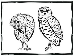Set of woodcuts of burrowing owls. Typical bird of Brazil. Illustration in the style of northeastern cordel.eps