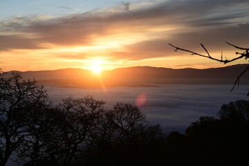 beautiful and colorful sunrise in the springtime