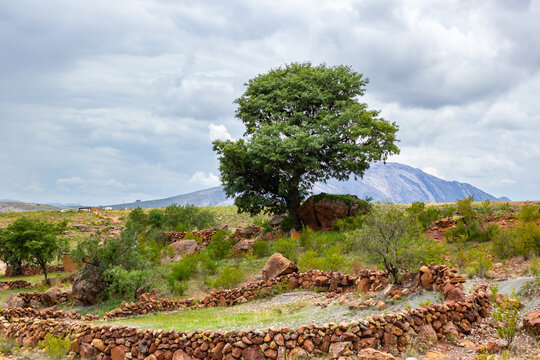 Parque Nacional Torotoro ubicado en Bolivia, lugar tur&iacute;stico donde  hay huellas de dinosaurios y se ve las formaciones geologicas