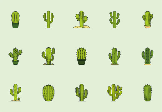 Green Desert Cactus Succulent Nature Botanical Icons Set