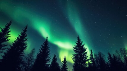 Naklejka premium A breathtaking display of the aurora borealis illuminating the night sky above a dense forest, showcasing vibrant colors and the beauty of this natural phenomenon. 